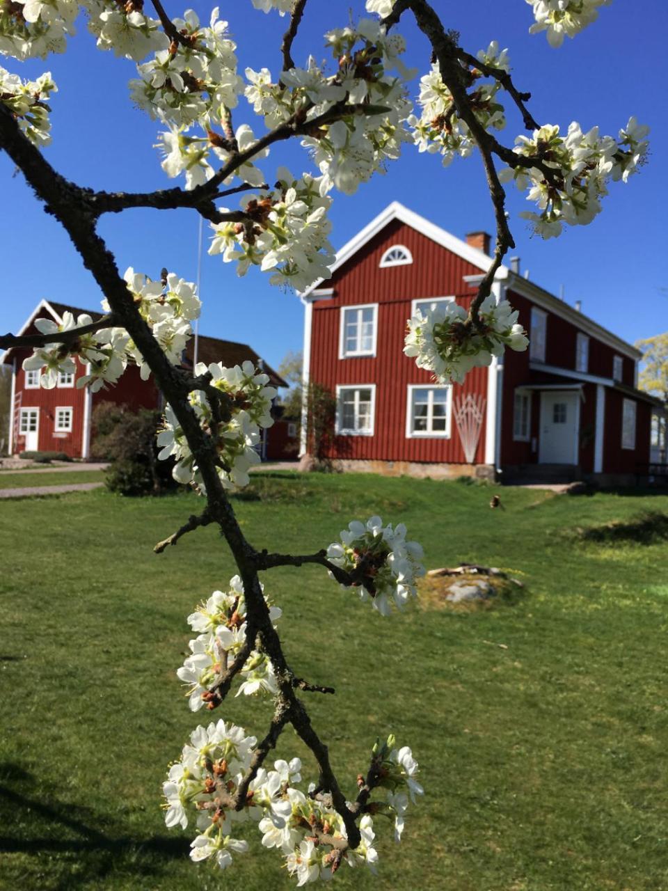 Villa Snokebo Gard Vimmerby Exterior foto